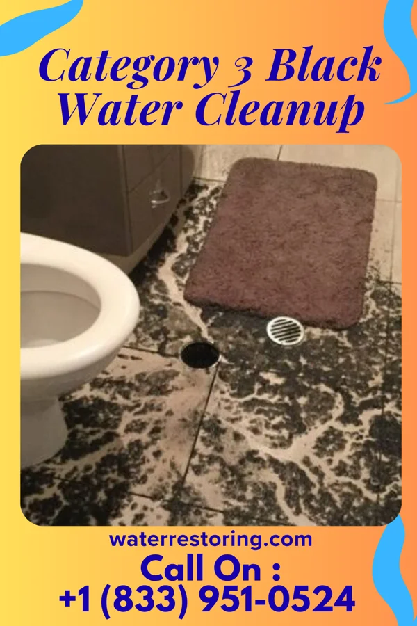 Category 3 Black Water Cleanup in Crary, ND